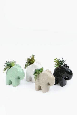 Assorted Succulents In Ellie Pot, 13x15cm