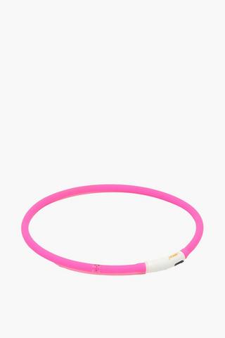 Illuminated Cat Collar