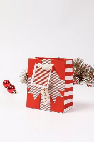 Joyful Gift Bag Extra Small