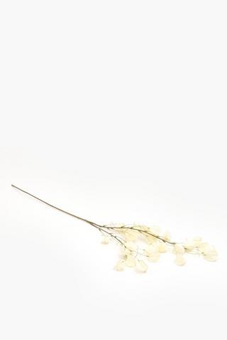 Pod Single Stem, 100cm
