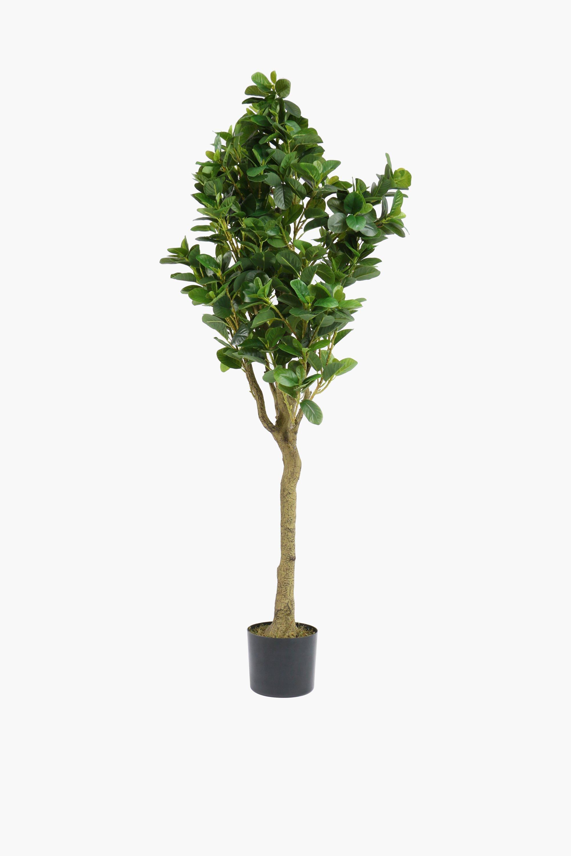 Potted Tree, 1,5m