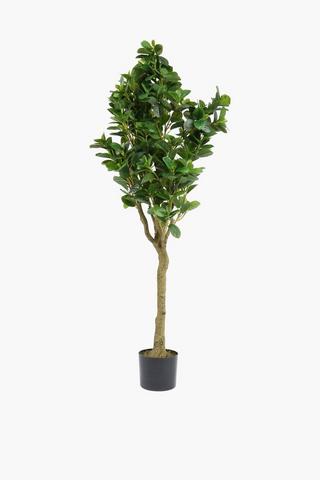 Potted Tree, 1,5m