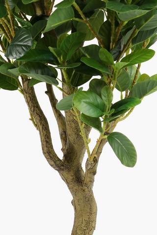 Potted Tree, 1,5m