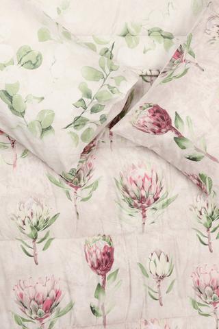 Soft Touch Peachland Protea Comforter Set
