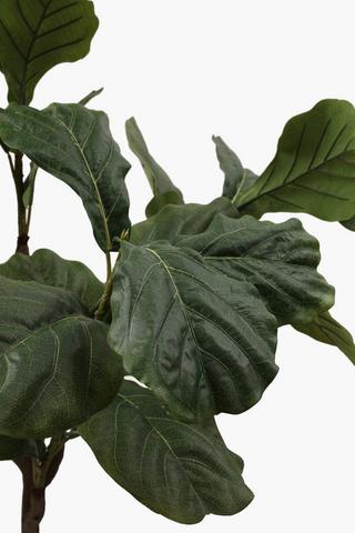 Fiddle Leaf Tree, 50cm