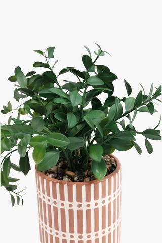 Greenery In Elko Stripe Pot, 9x22cm