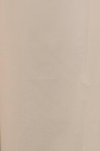 Plain Shwoer Curtain