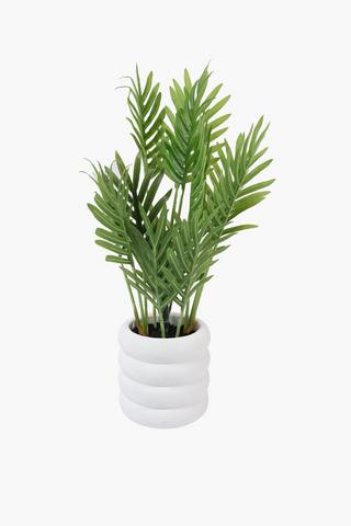 4 Tier Palm In Cement Pot, 9x40cm
