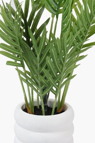 4 Tier Palm In Cement Pot, 9x40cm
