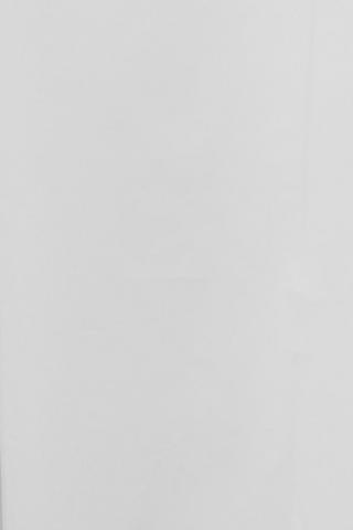 Plain Shower Curtain
