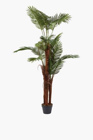 Palm Tree, 150cm