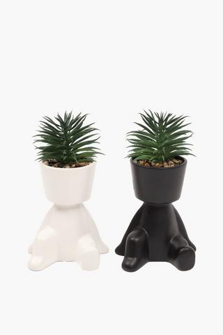 Assorted Lazy Days Succulents, 11x13cm