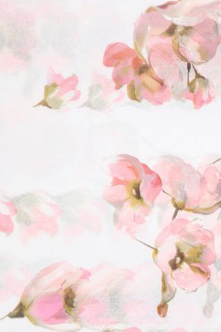 Paradise Floral Tissue Paper