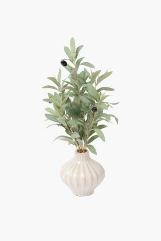 Olive Plant In Glazed Belly Pot, 50cm
