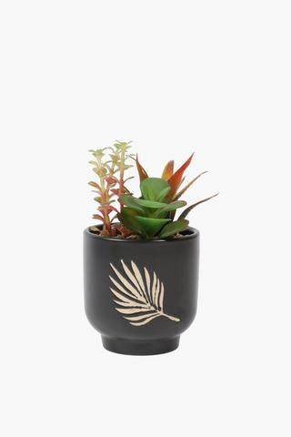 Leaf Etched Multi-succulent, 10x19cm