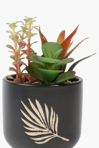 Leaf Etched Multi-succulent, 10x19cm