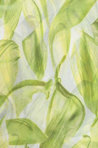 Audrey Tissue Paper