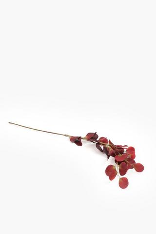 Gum Leaf Brugendy Single Stem, 88cm