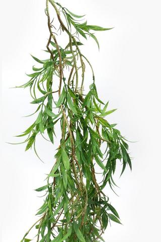 Hanging Eucalyptus Single Stem, 180cm