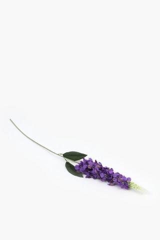 Delphinium Single Stem, 73cm
