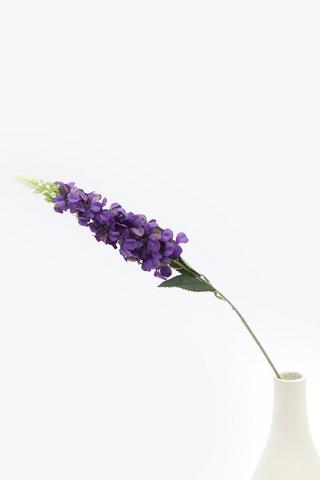Delphinium Single Stem, 73cm
