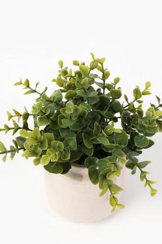 Succulents In Lipped Glaze Pot, 9x23cm