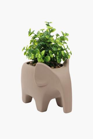 Ellie Potted Greenery, 16x20cm
