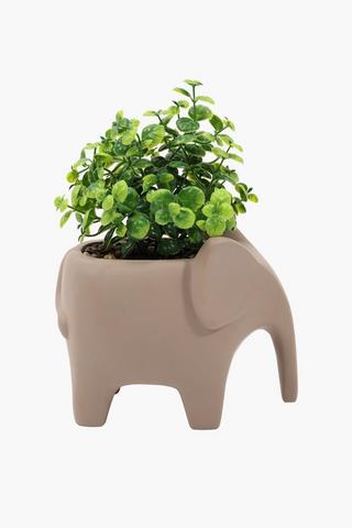 Ellie Potted Greenery, 16x20cm