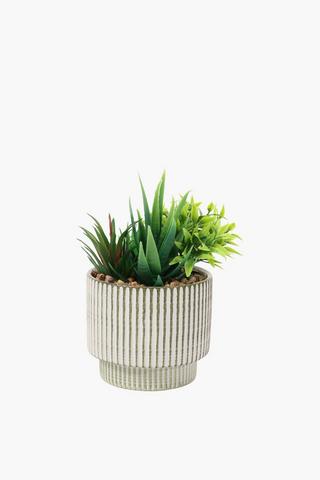 Line Potted Succulent, 21x27cm