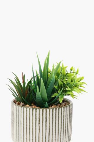 Line Potted Succulent, 21x27cm