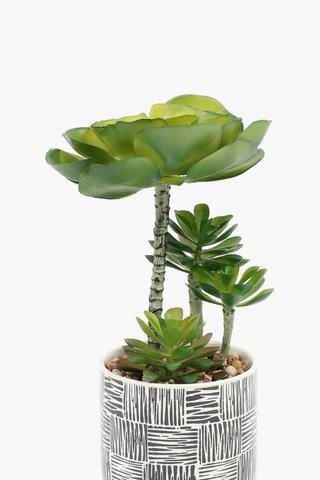 Multi-rock Rose In Scratch Pot, 10x29cm