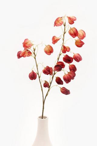 Pod Single Stem, 100cm