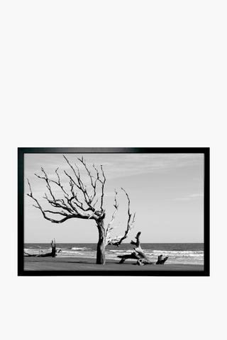 Framed Mono Driftwood, 40x60cm