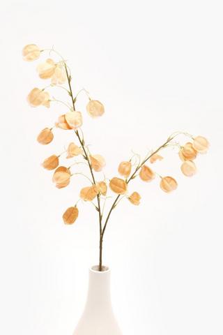 Pod Single Stem, 100cm