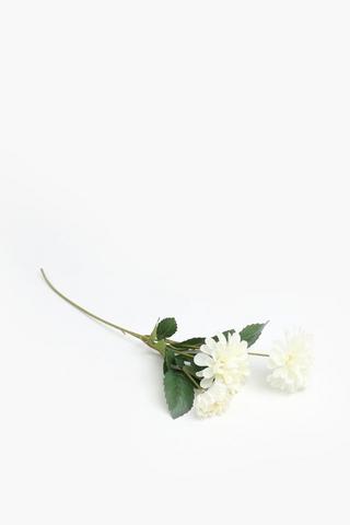 Wild Rose Bunch Single Stem