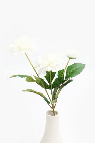 Wild Rose Bunch Single Stem