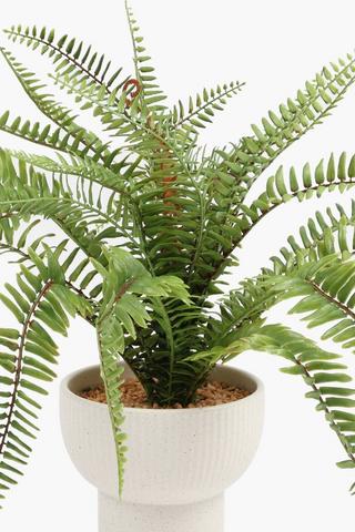 Fern In Speckle Bowl, 15x45cm