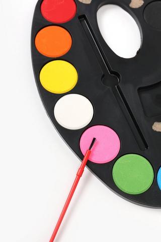 12 Piece Paint Palette Large