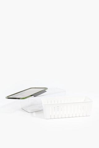 Plastic Fridge Storage Container, Medium