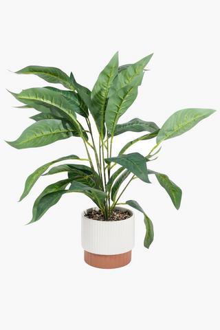 Terra Potted Vein Leaf, 17x14cm