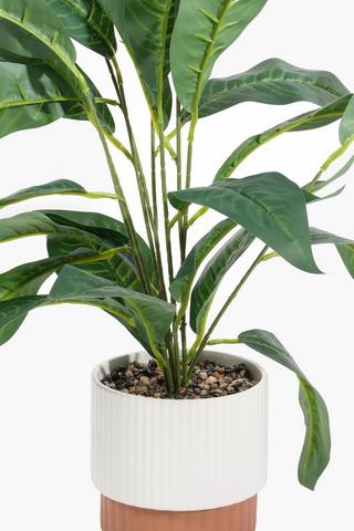 Terra Potted Vein Leaf, 17x14cm