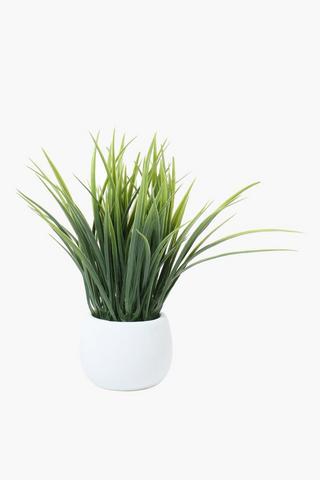 Mini Grass Potted, 7x28cm