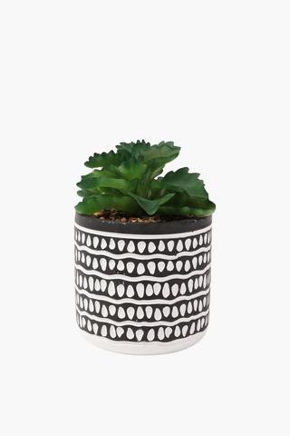 Etch Pot Frilled Agave, 11x11cm