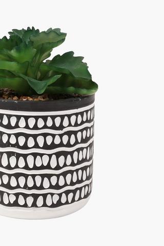 Etch Pot Frilled Agave, 11x11cm
