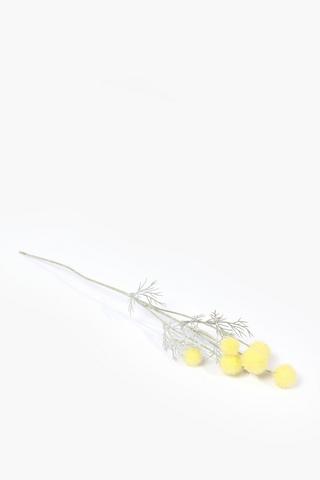 Billy Buttons Single Stem, 59cm