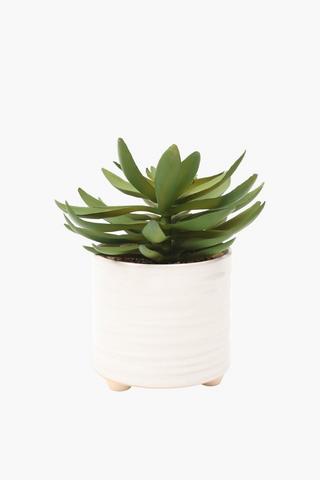 Glaze Potted Agave, 11x18cm