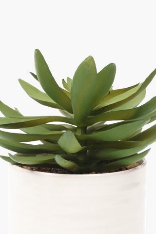 Glaze Potted Agave, 11x18cm