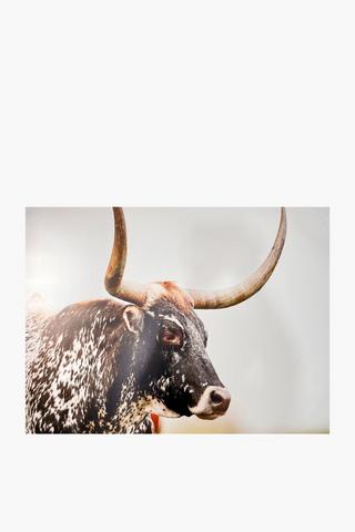 Mottle Longhorn Canvas, 90x120cm