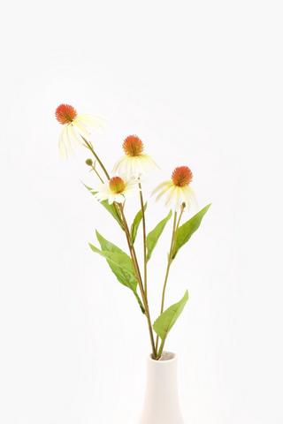 Echinacea Single Stem, 77cm