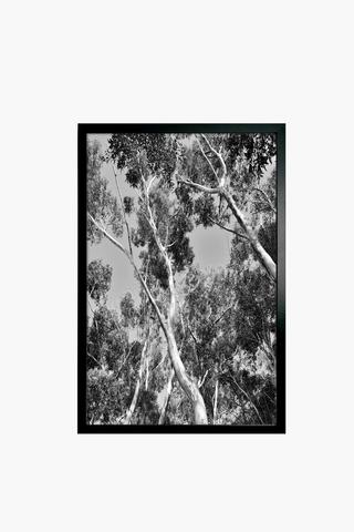 Framed Monochrome Branches, 60x90cm